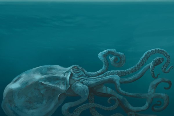 Кракен зеркало